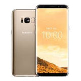 Galaxy S8+ (Fully Unlocked)